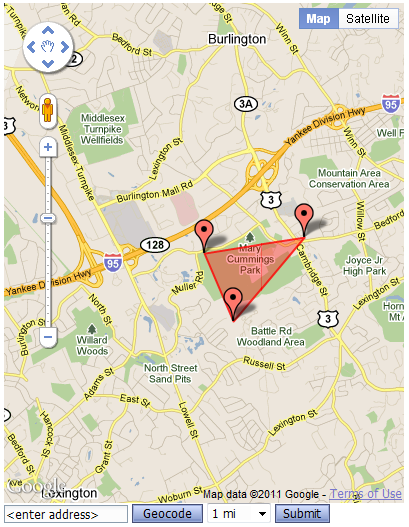 Google Map 1